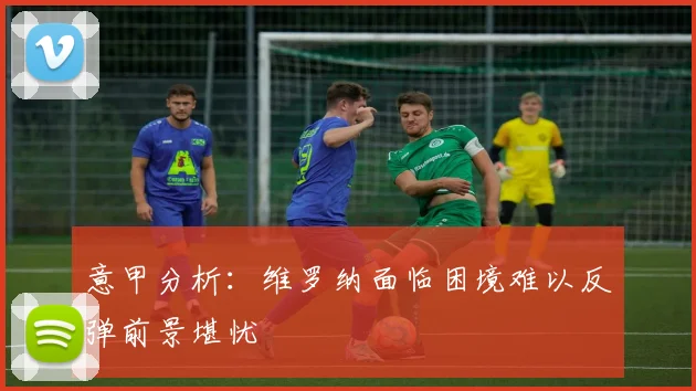 意甲分析：维罗纳面临困境难以反弹前景堪忧