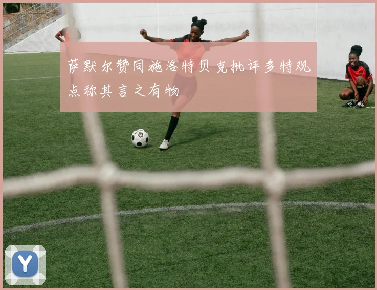萨默尔赞同施洛特贝克批评多特观点称其言之有物
