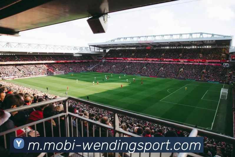 问鼎娱乐平台生态图